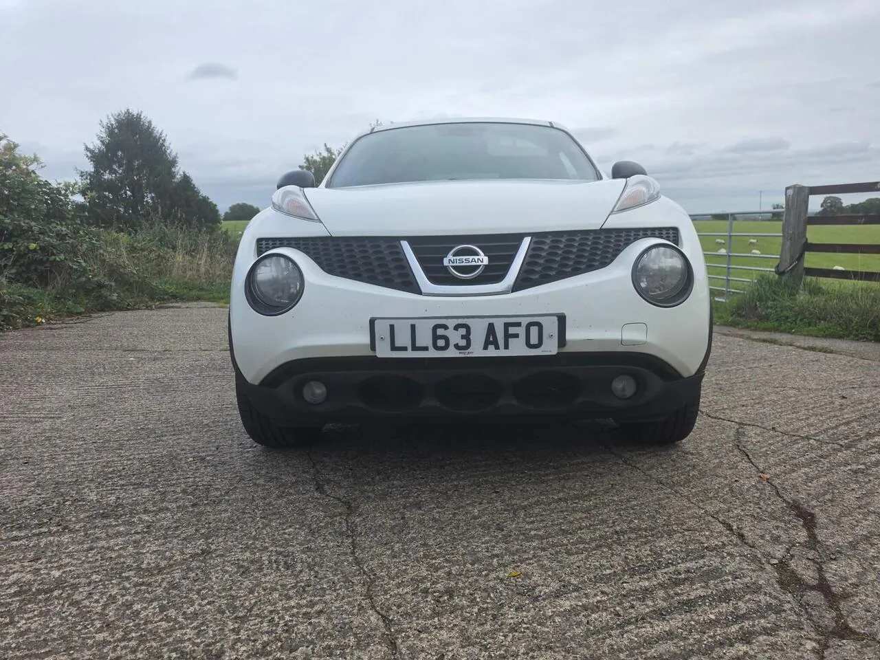 Nissan Juke 2013 photo 2
