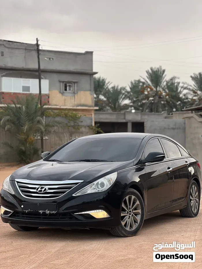 Hyundai Sonata 2014 photo 2