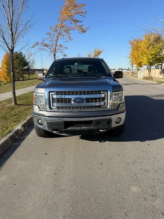 Ford F-150 2014 photo 2