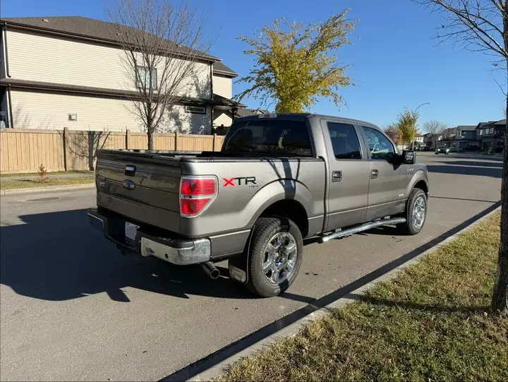 Ford F-150 2014 photo 3