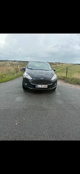 Ford Fiesta 2013 photo 2