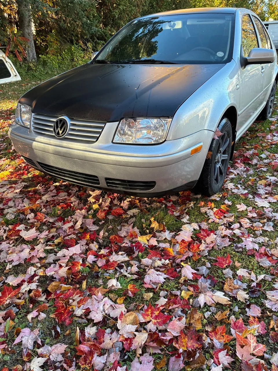 Volkswagen Jetta 2003 photo 2
