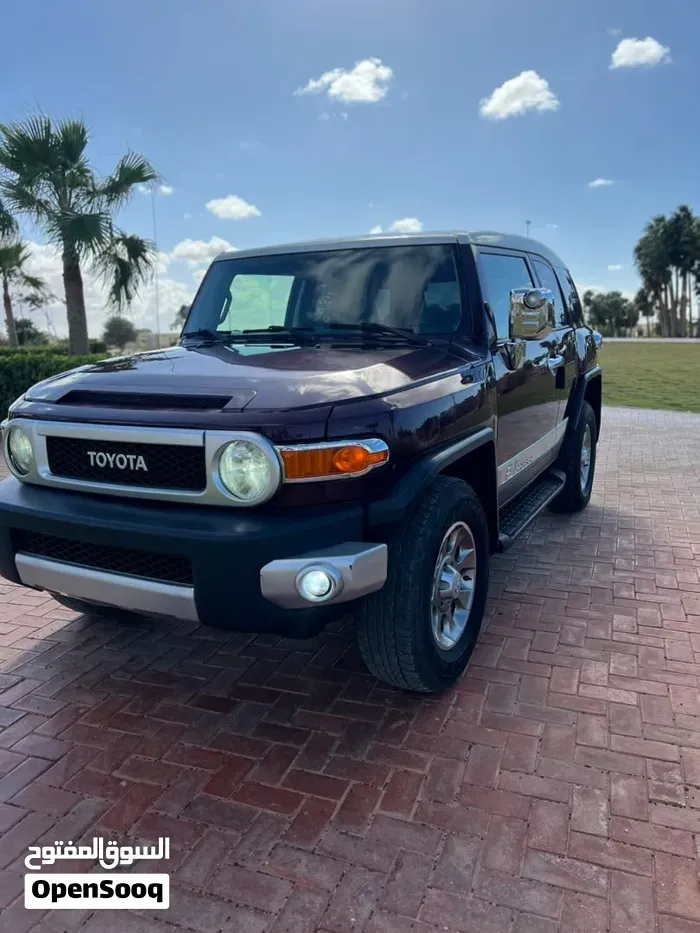 Toyota Fj 2008 photo 2