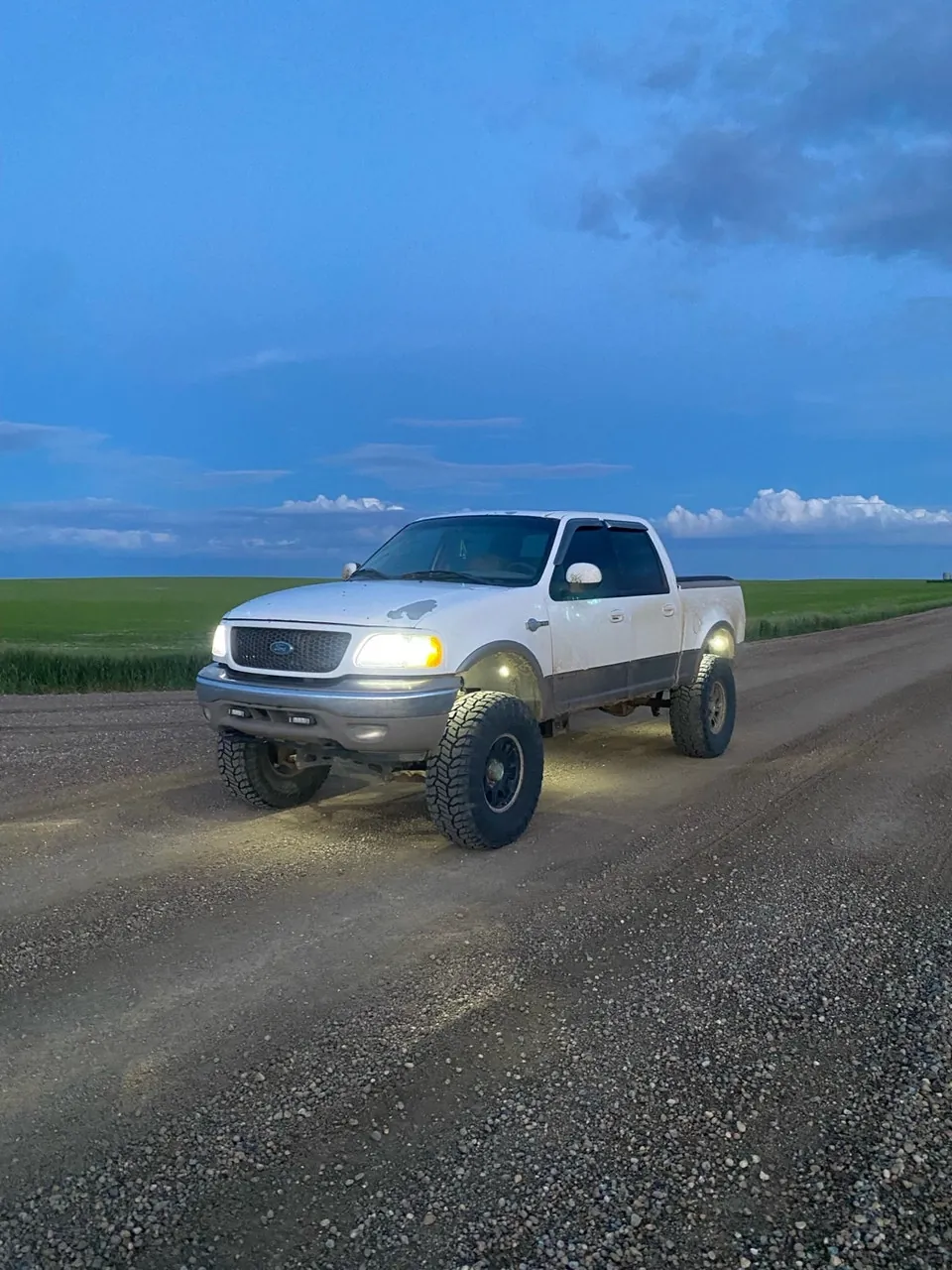 Ford F-150 2003 photo 2