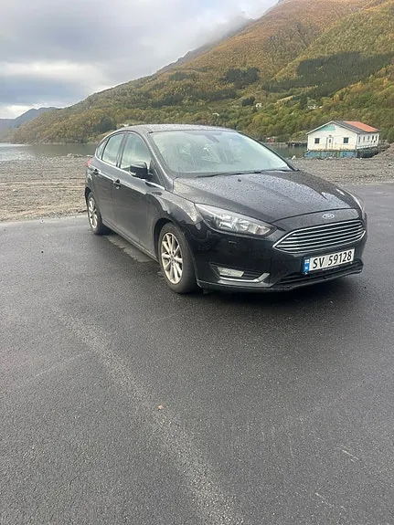 Ford Focus 2015 photo 2