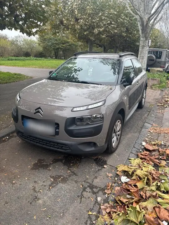 Citroen C4 Cactus
