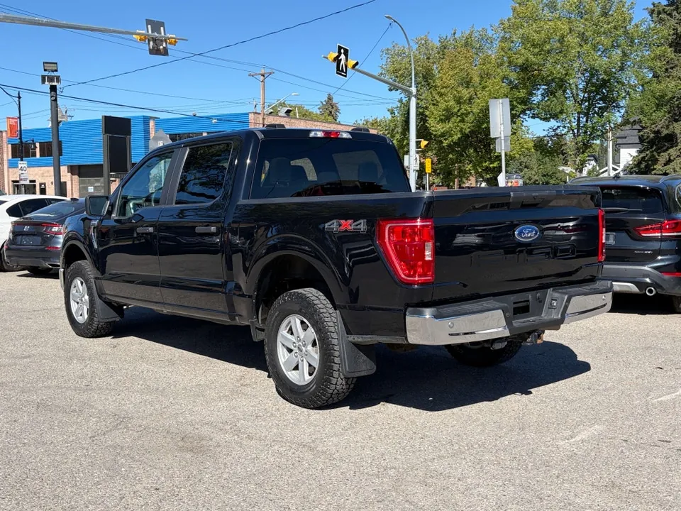 Ford F-150 2021 photo 4