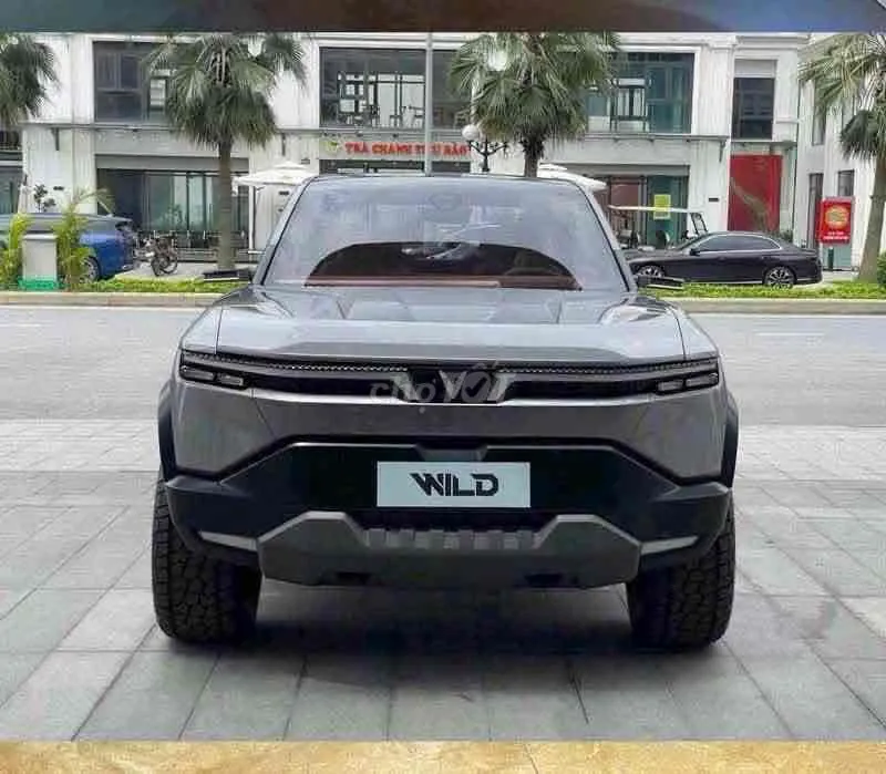 Vinfast Vf Wild