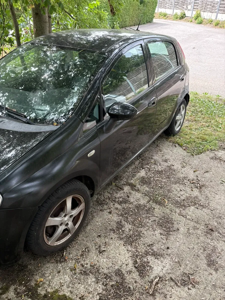 Fiat Grande Punto 2009 photo 2