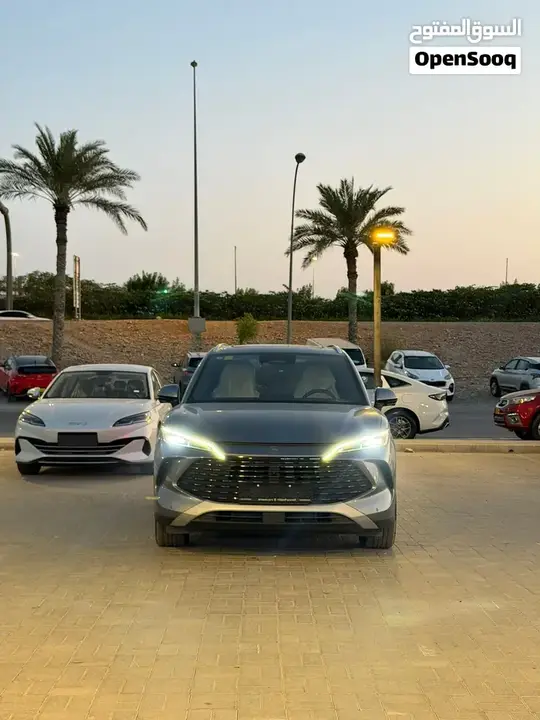 BYD Song L