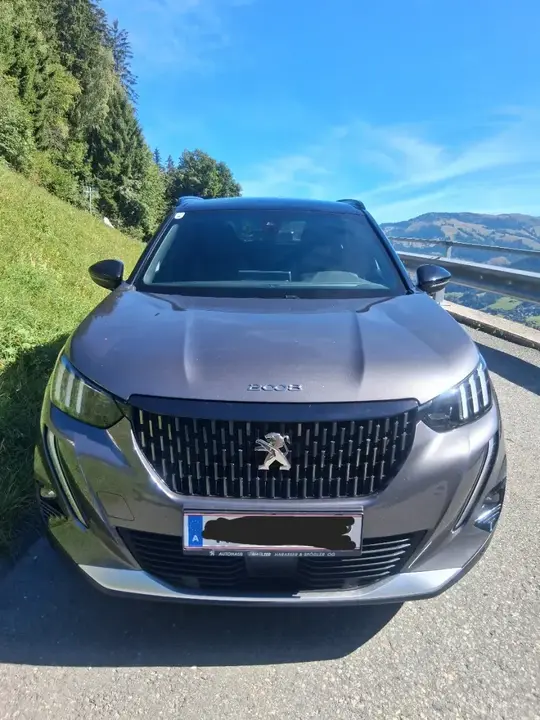 Peugeot 2008 2021 photo 2