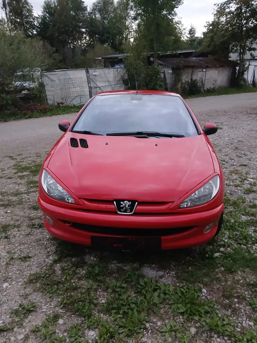 Peugeot 206 2002 photo 2