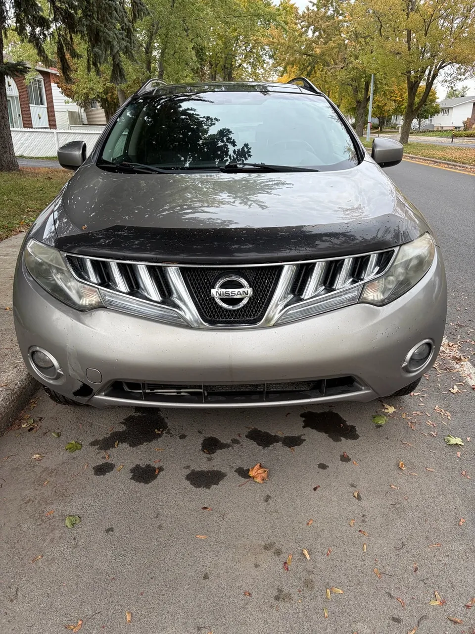 Nissan Murano 2010 photo 4