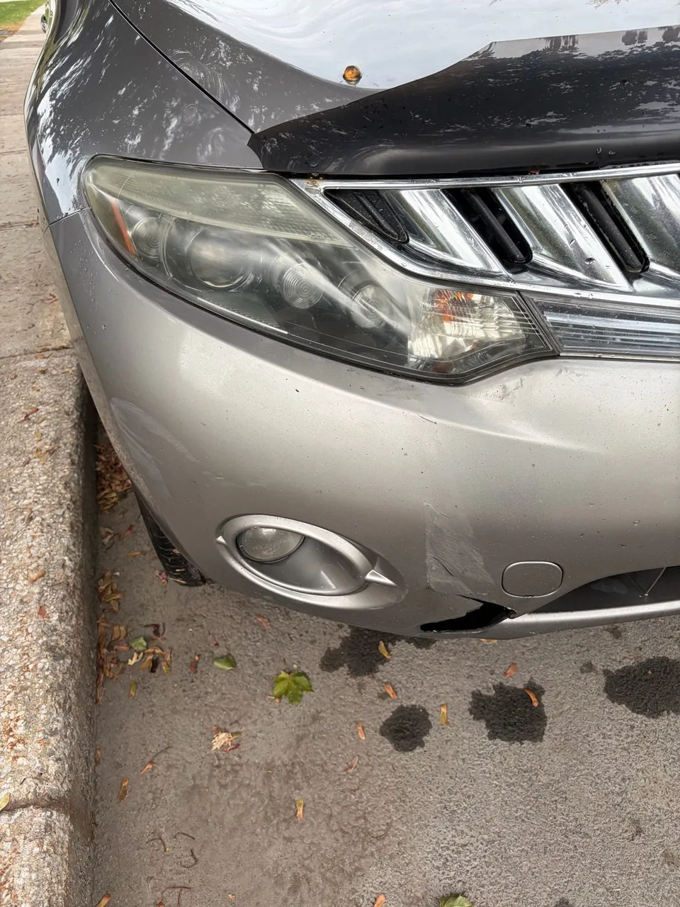 Nissan Murano 2010 photo 5