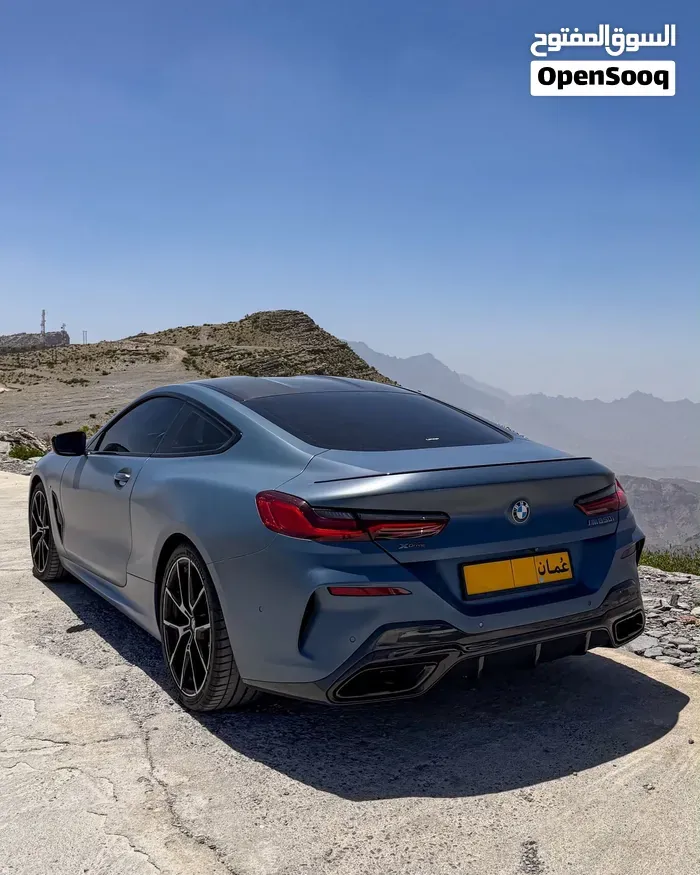 BMW 8 Series 2019 photo 2