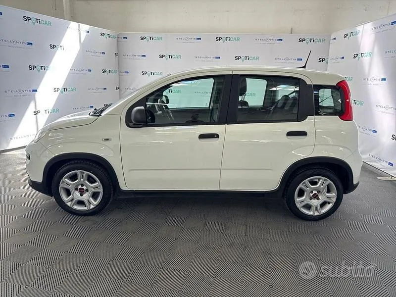 Fiat Panda 2024 photo 2