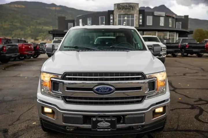 Ford F-150 2019 photo 3