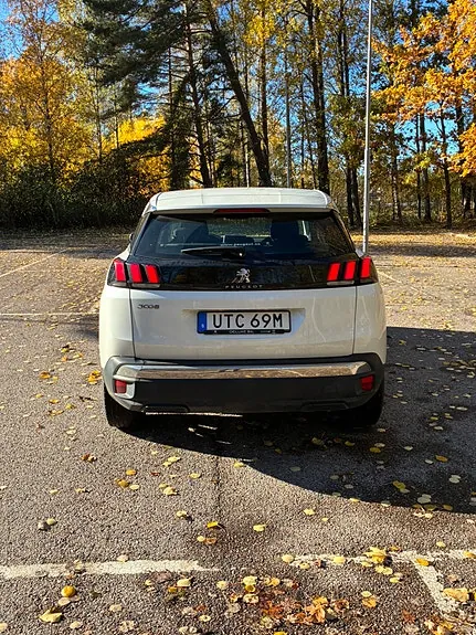 Peugeot 3008 2020 photo 2