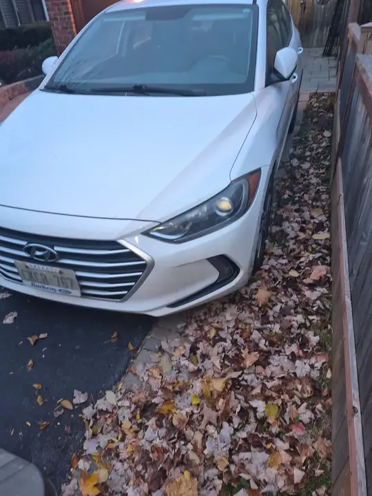 Hyundai Elantra 2017 photo 4