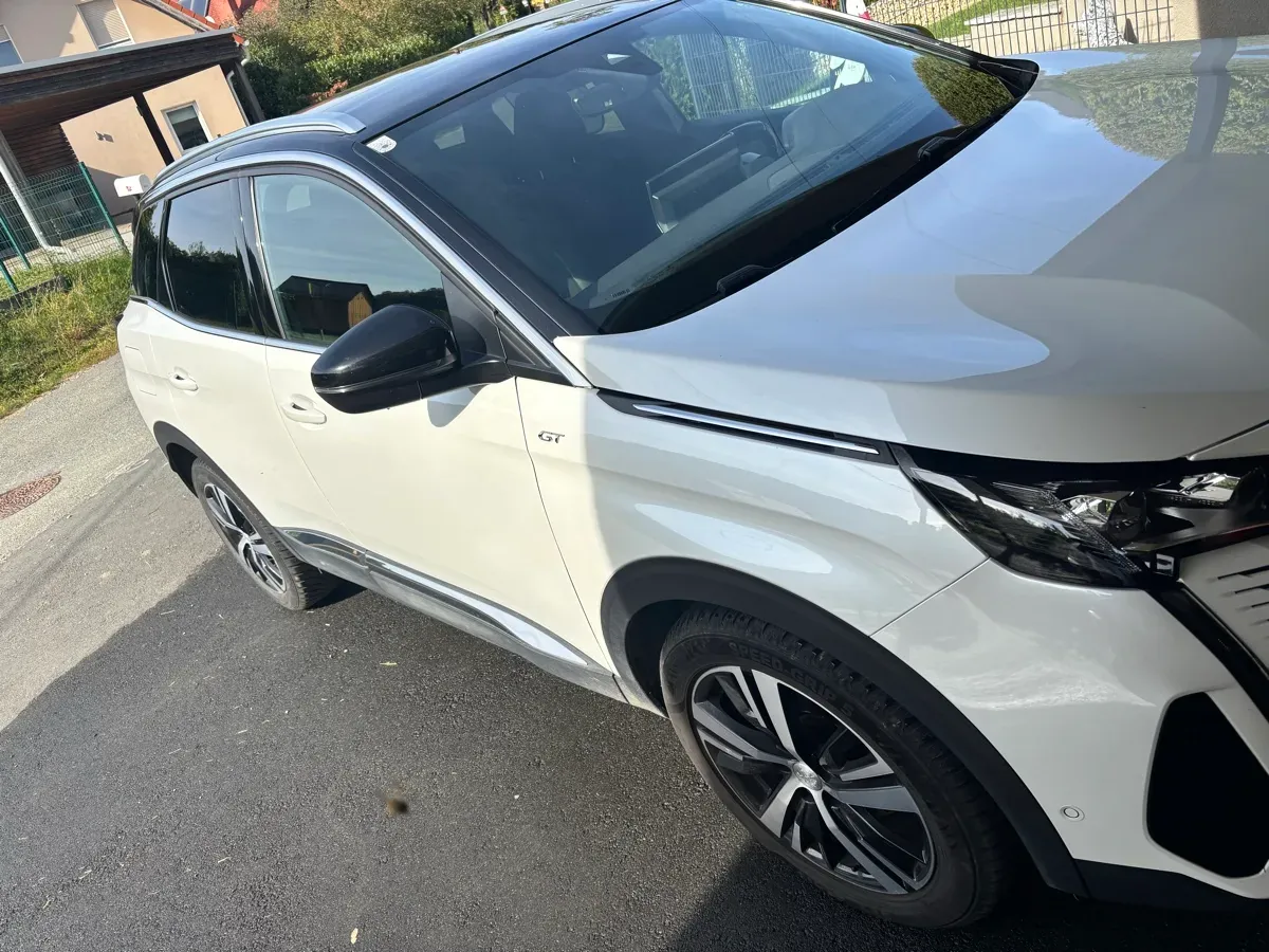Peugeot 3008 2021 photo 3