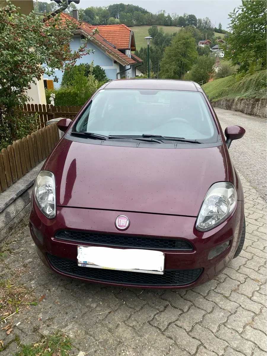 Fiat Punto 2012 photo 2