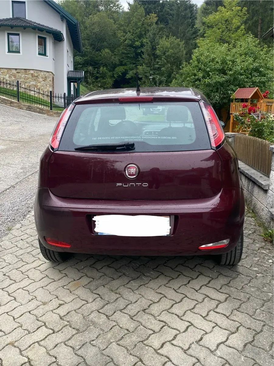 Fiat Punto 2012 photo 3
