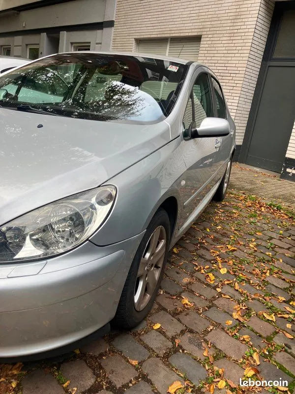 Peugeot 307 2006 photo 2