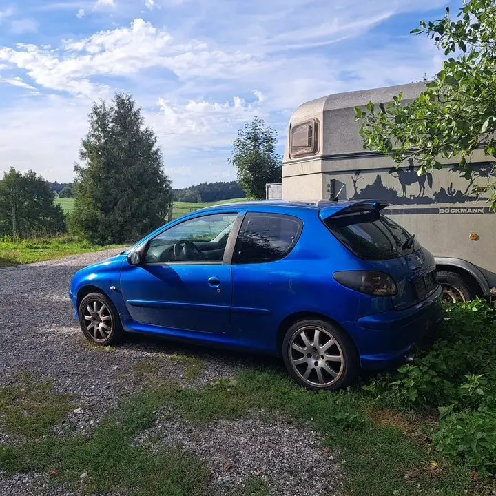 Peugeot 206 2004 photo 2