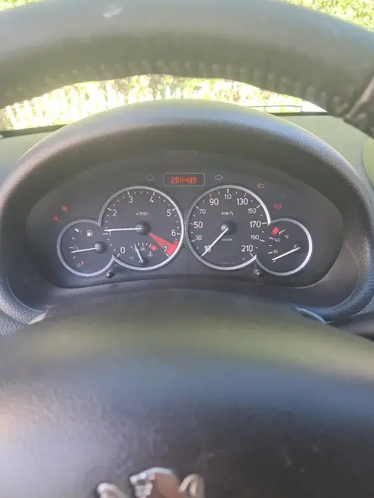 Peugeot 206 2004 photo 3
