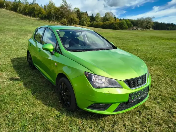 Seat Ibiza 2009 photo 2