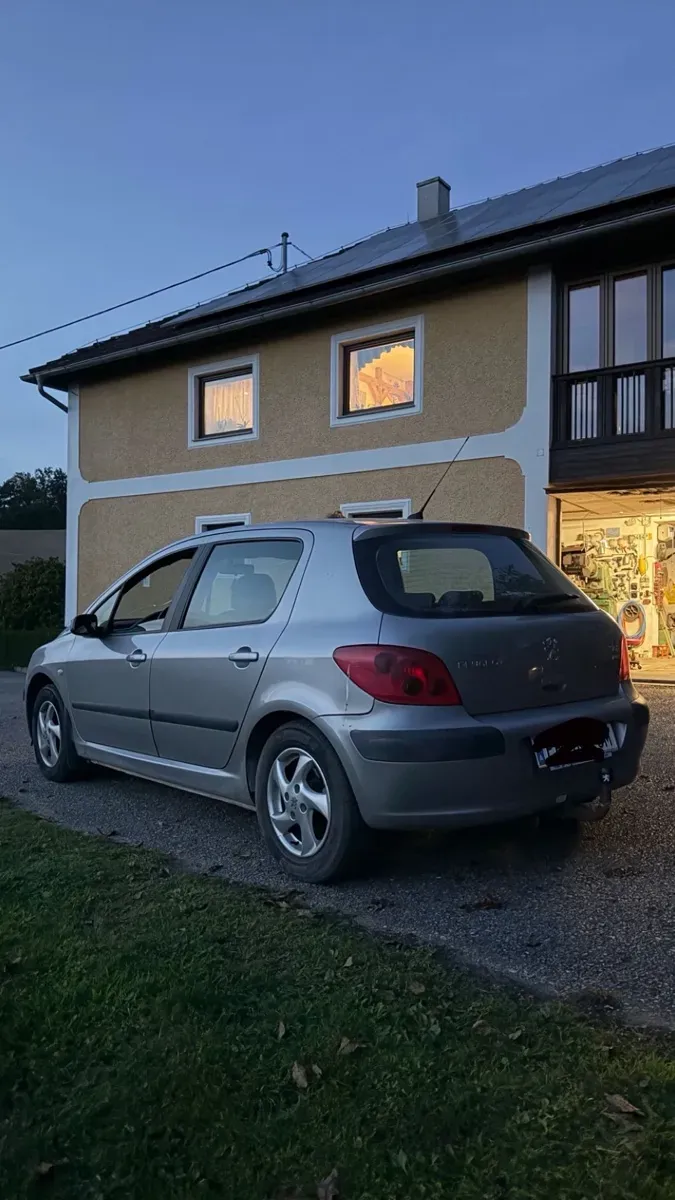 Peugeot 307 2003 photo 2