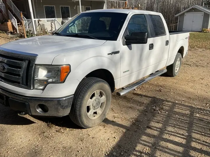 Ford F-150 2011 photo 3