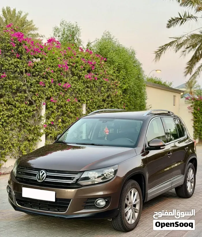 Volkswagen Tiguan 2014 photo 2