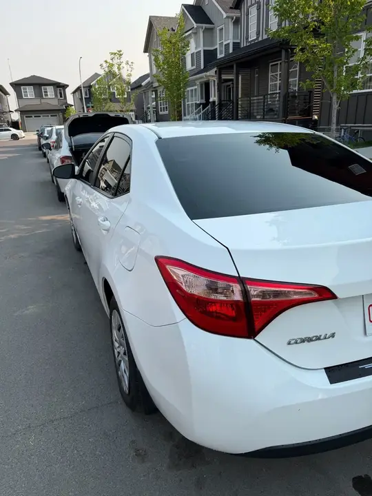 Toyota Corolla 2019 photo 3