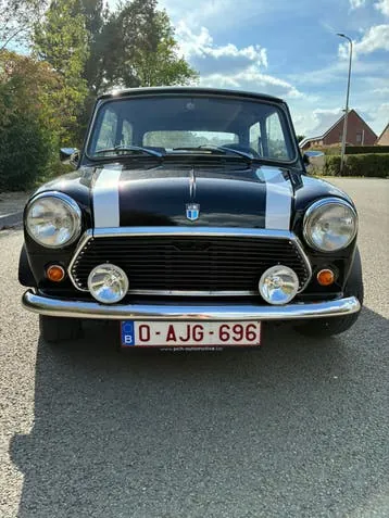 Mini 1000