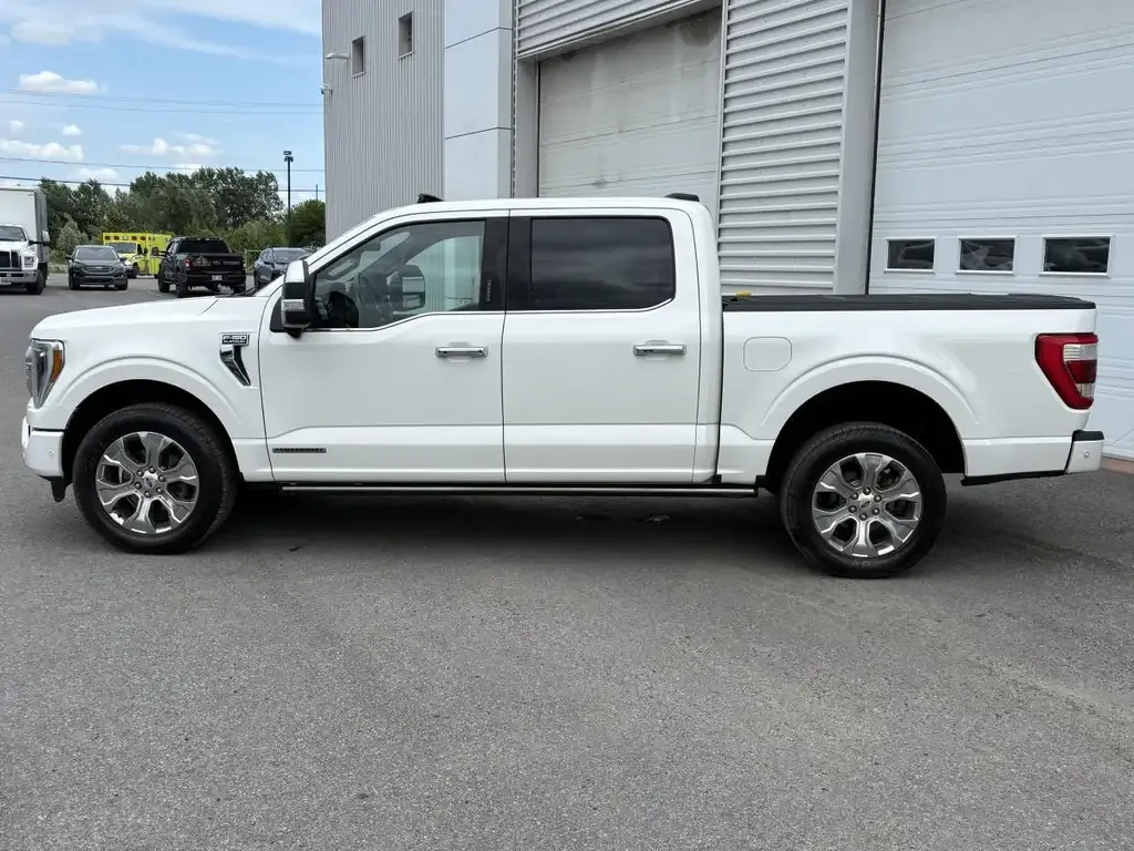 Ford F-150 2022 photo 2
