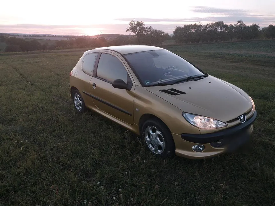 Peugeot 206