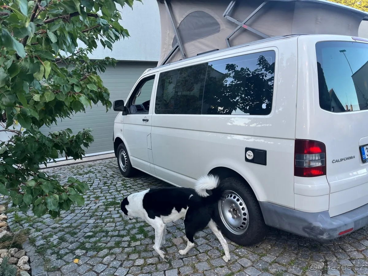 Volkswagen T5 2009 photo 4