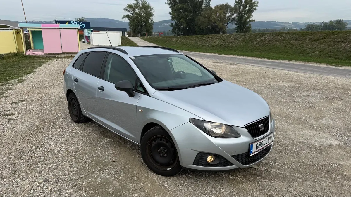 Seat Ibiza 2010 photo 2