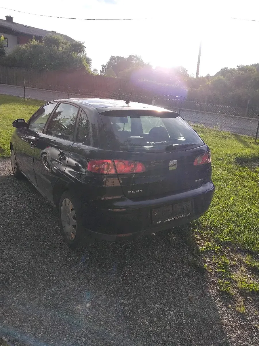 Seat Ibiza 2006 photo 2