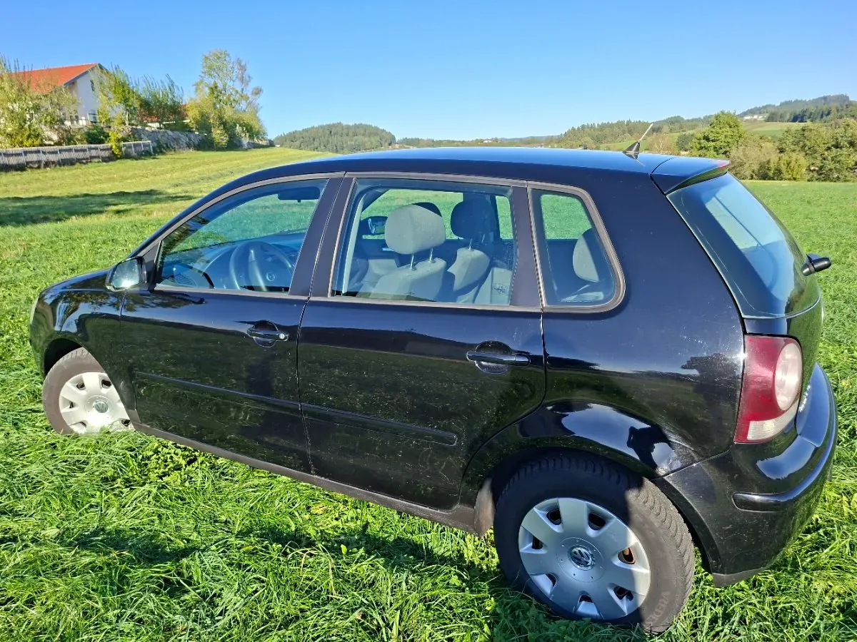 Volkswagen Polo 2008 photo 2
