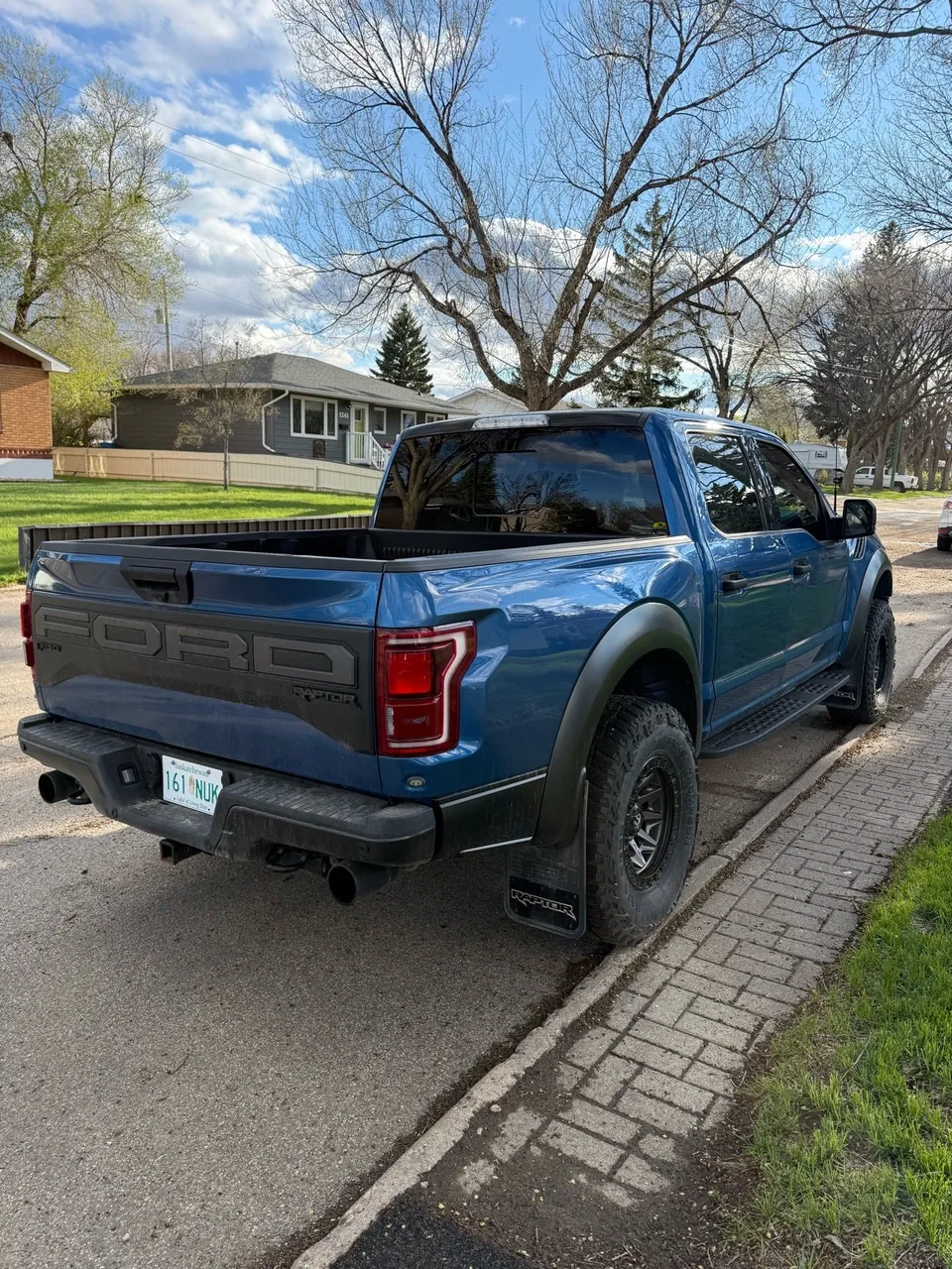 Ford F-150 Raptor 2020 photo 3