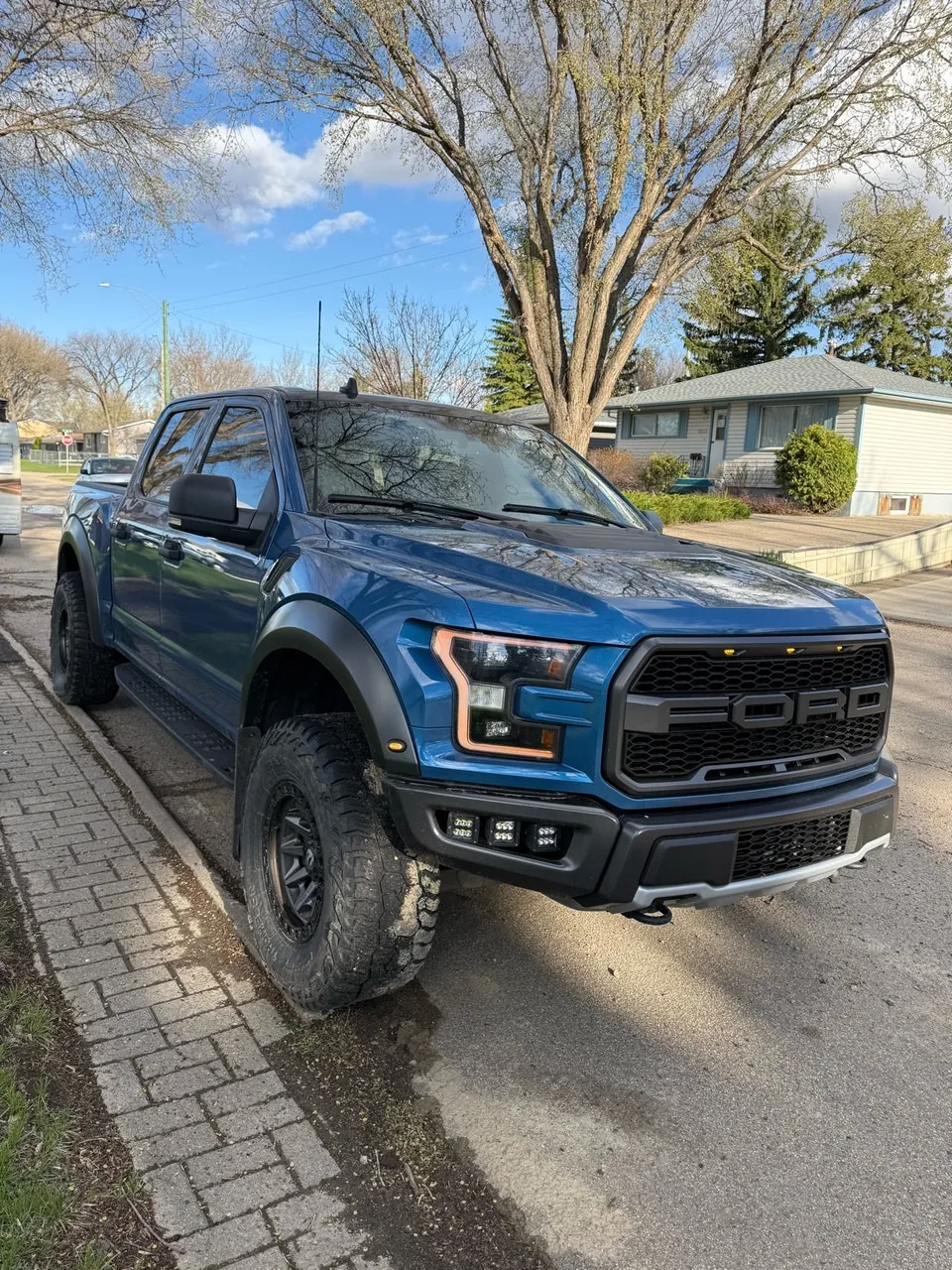 Ford F-150 Raptor 2020 photo 2