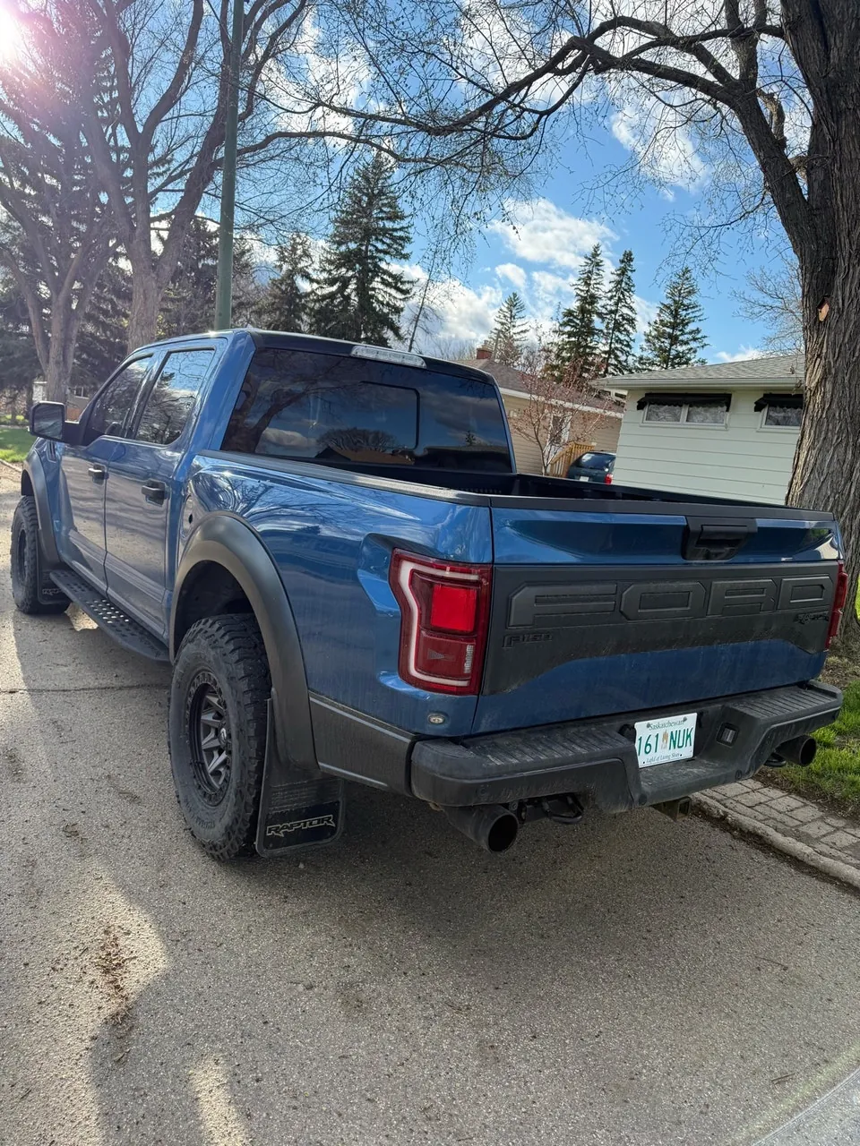 Ford F-150 Raptor 2020 photo 4