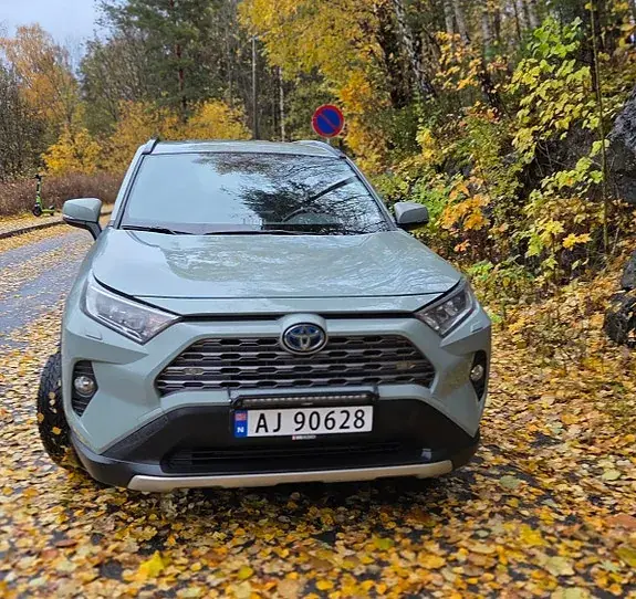 Toyota Rav4 2019 photo 2