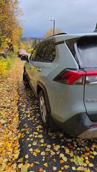 Toyota Rav4 2019 photo 3