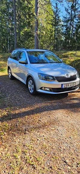 Skoda Fabia 2018 photo 2