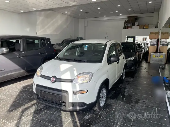 Fiat Panda 2024 photo 4