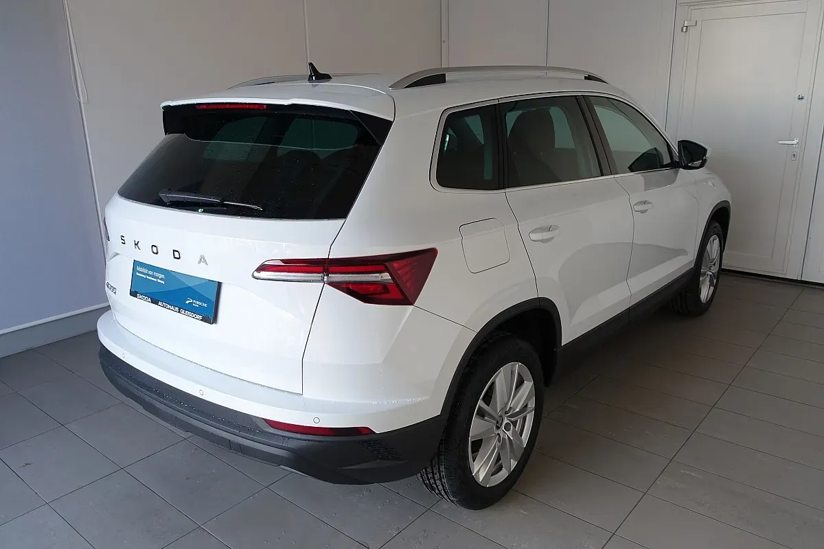 Skoda Karoq 2025 photo 3