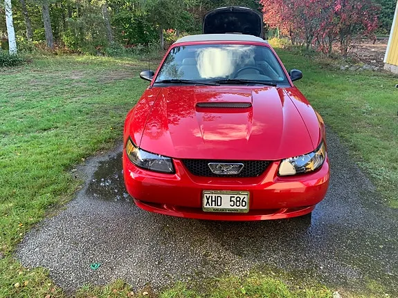 Ford Mustang 2000 photo 2
